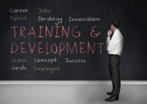 Wisely-Investing-in-Your-Employees-300x214
